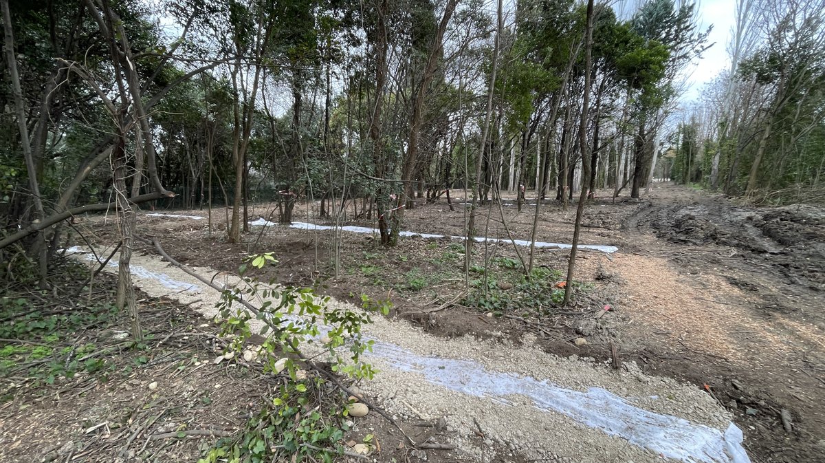 Les Travaux du parc Jacques Chirac en mars 2026 (Photo Anthony Maurin)