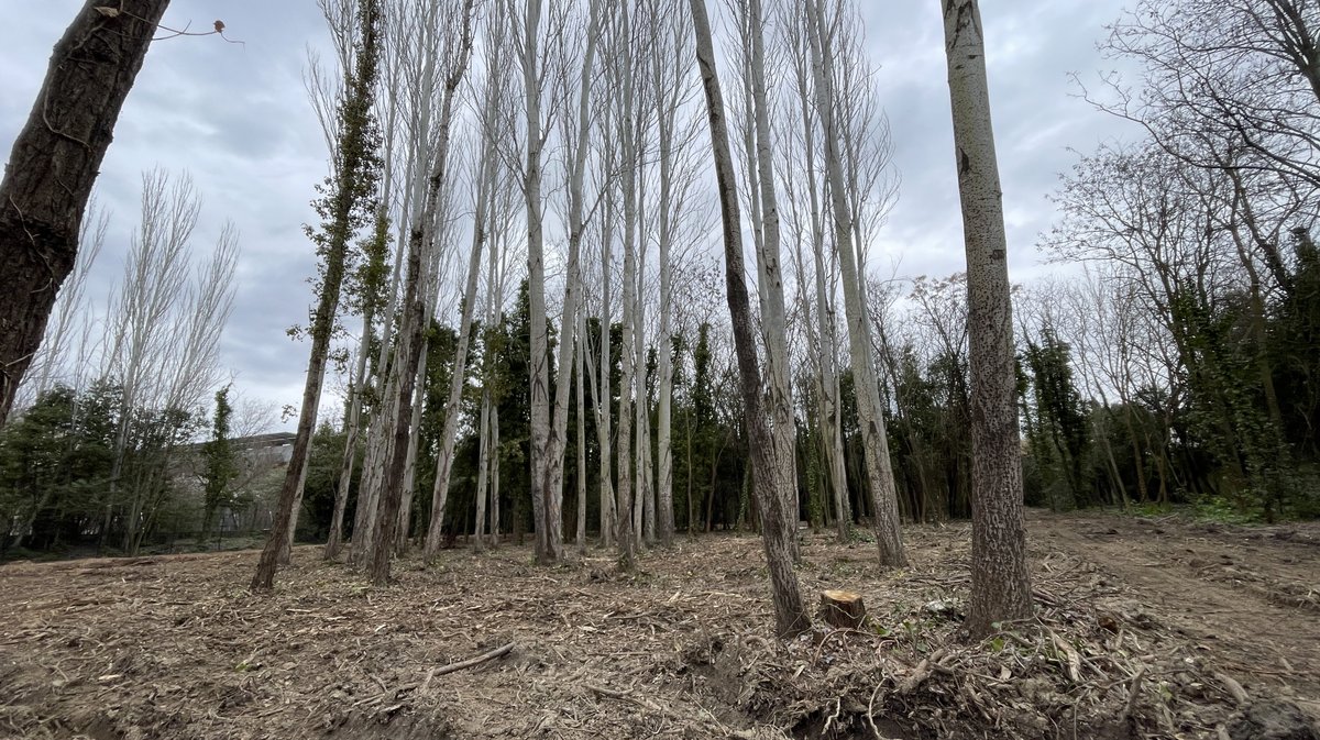 Les Travaux du parc Jacques Chirac en mars 2026 (Photo Anthony Maurin)