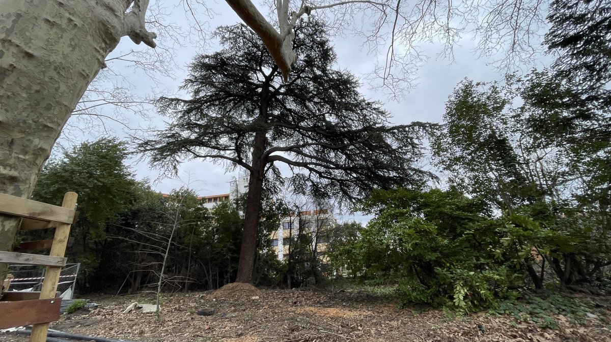 Les Travaux du parc Jacques Chirac en mars 2026 (Photo Anthony Maurin)