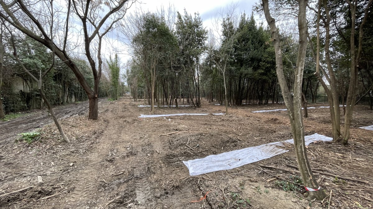 Les Travaux du parc Jacques Chirac en mars 2026 (Photo Anthony Maurin)