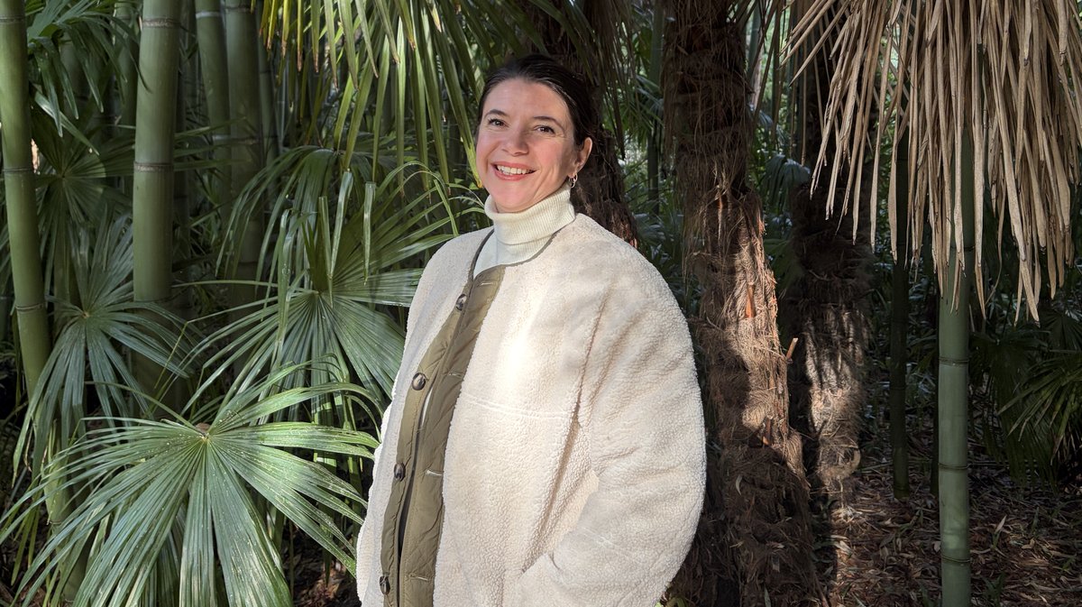 Valentine Crouzet Bambouseraie