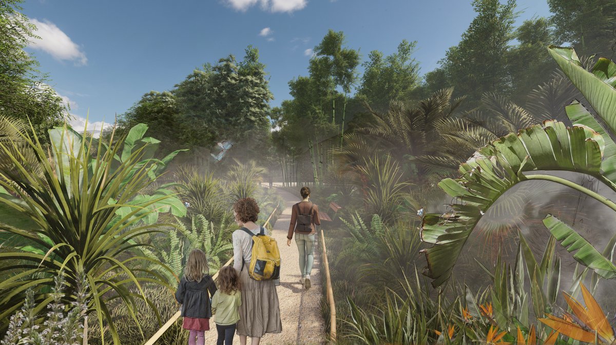 Le jardin des grandes feuilles© Alep paysagistes