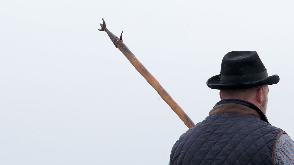 Abrivado des plages Grau-du-Roi en 2026 (Photo Anthony Maurin)