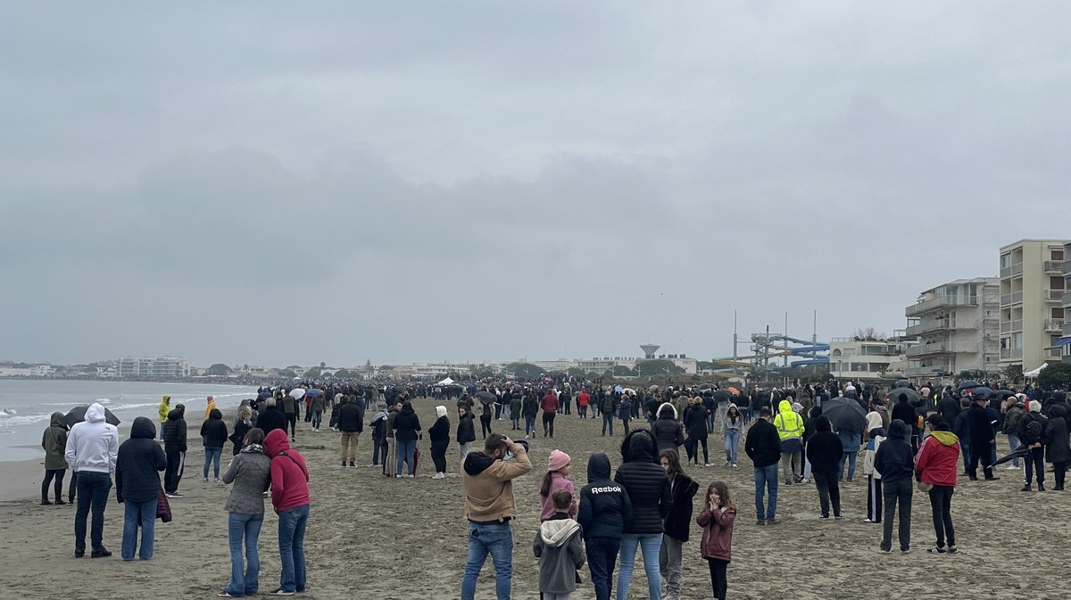 Abrivado des plages Grau-du-Roi en 2026 (Photo Anthony Maurin)