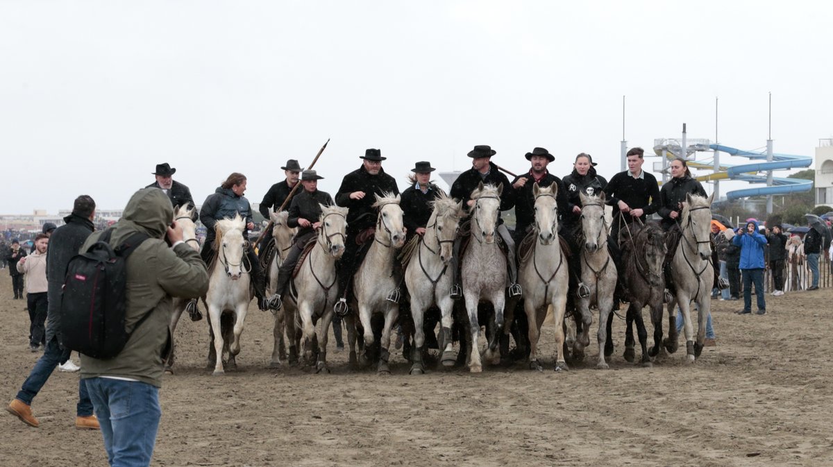Abrivado des plages Grau-du-Roi en 2026 (Photo Anthony Maurin)