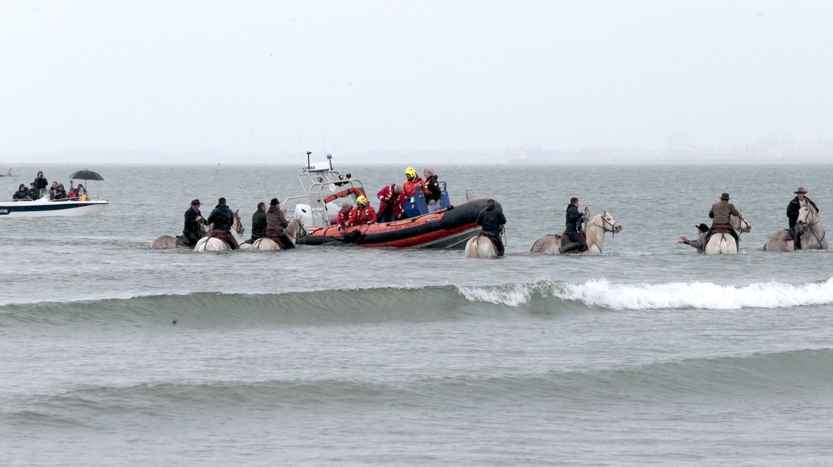 Abrivado des plages Grau-du-Roi en 2026 (Photo Anthony Maurin)