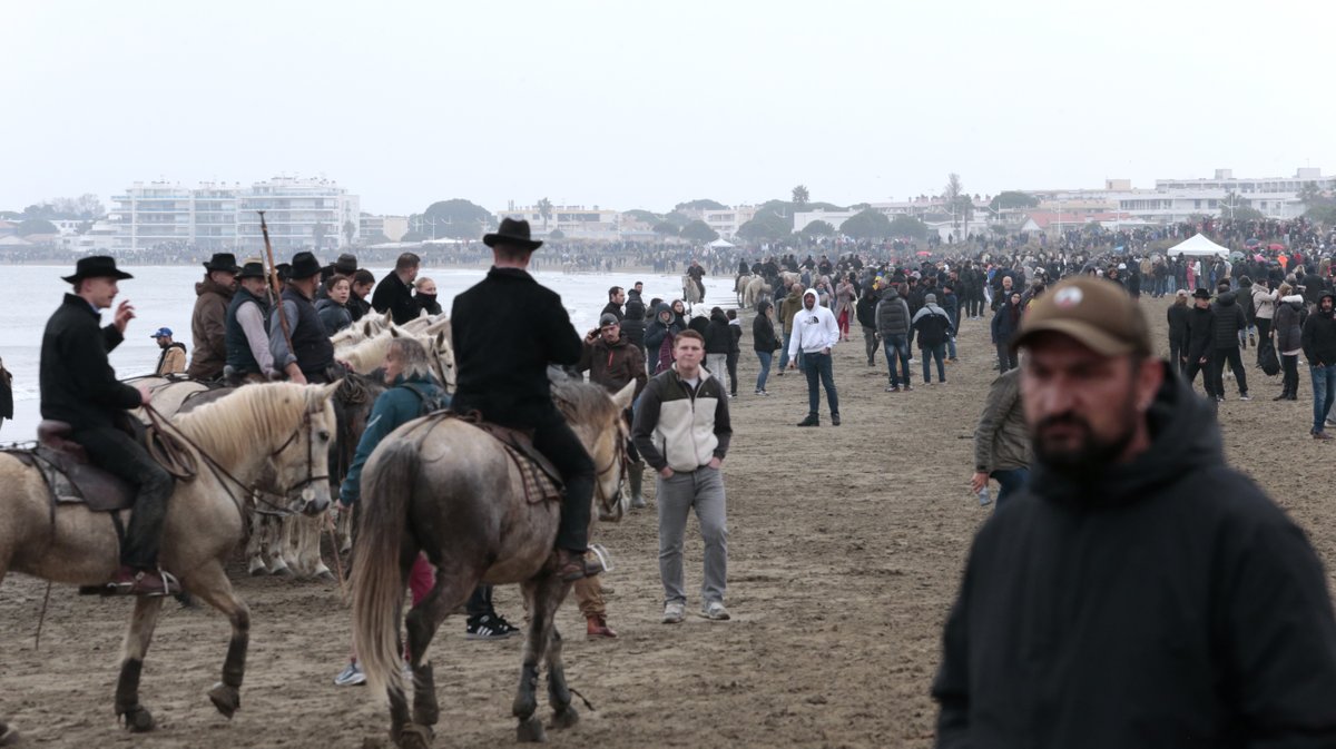 Abrivado des plages Grau-du-Roi en 2026 (Photo Anthony Maurin)