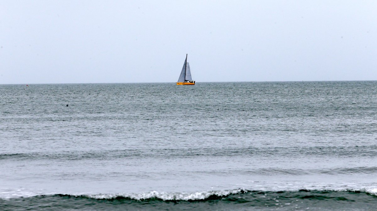 Abrivado des plages Grau-du-Roi en 2026 (Photo Anthony Maurin)