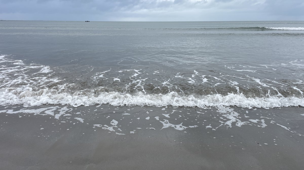 Abrivado des plages Grau-du-Roi en 2026 (Photo Anthony Maurin)