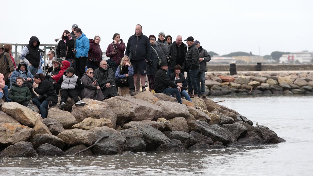 Abrivado des plages Grau-du-Roi en 2026 (Photo Anthony Maurin)