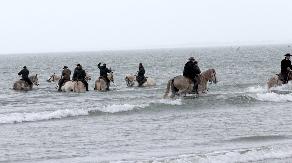 Abrivado des plages Grau-du-Roi en 2026 (Photo Anthony Maurin)