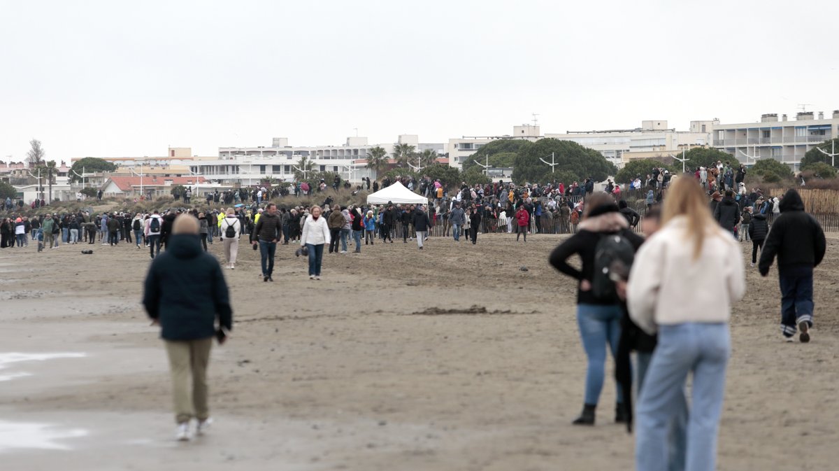 Abrivado des plages Grau-du-Roi en 2026 (Photo Anthony Maurin)