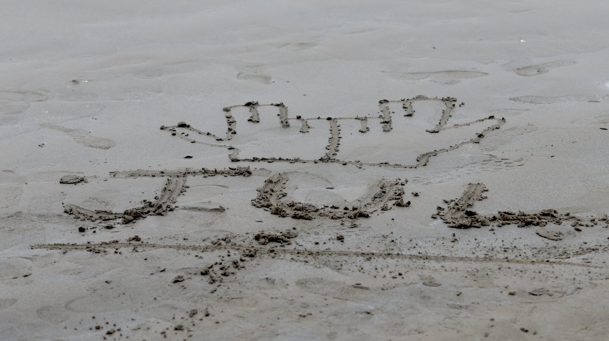 Abrivado des plages Grau-du-Roi en 2026 (Photo Anthony Maurin)