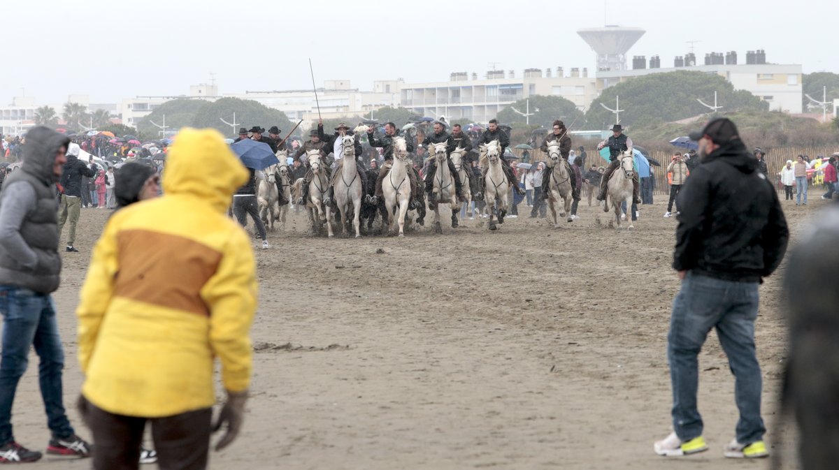 Abrivado des plages Grau-du-Roi en 2026 (Photo Anthony Maurin)