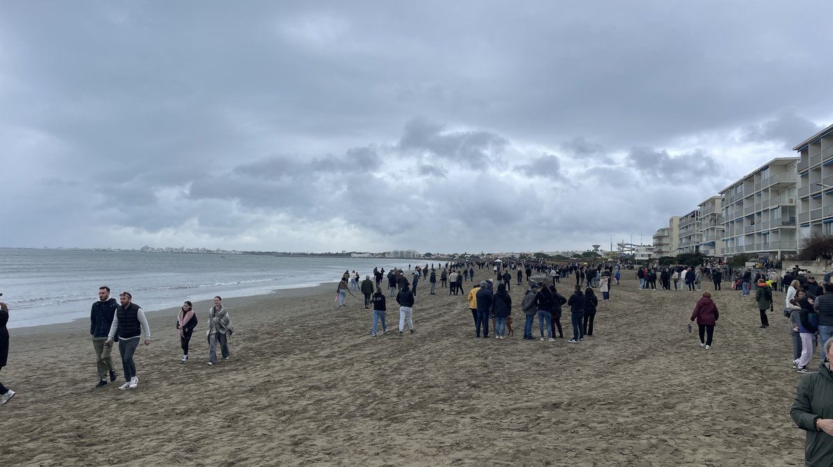 Abrivado des plages Grau-du-Roi en 2026 (Photo Anthony Maurin)