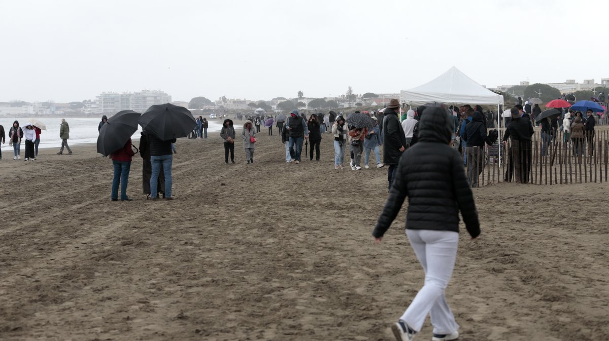 Abrivado des plages Grau-du-Roi en 2026 (Photo Anthony Maurin)