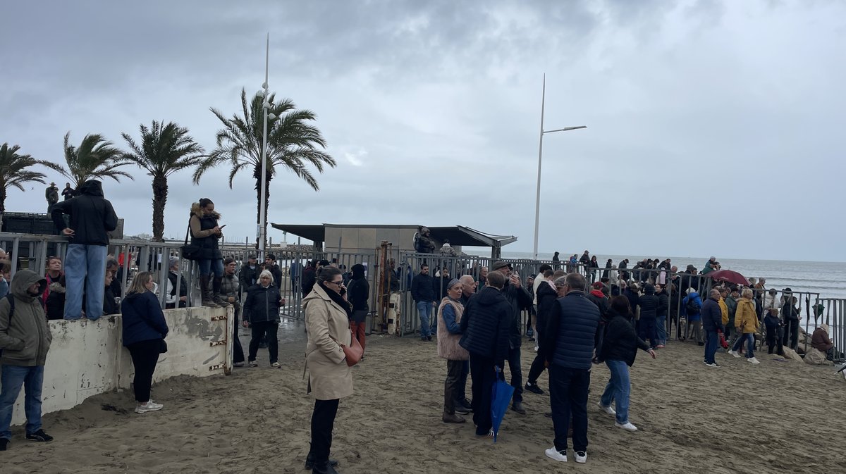 Abrivado des plages Grau-du-Roi en 2026 (Photo Anthony Maurin)