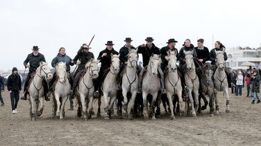 Abrivado des plages Grau-du-Roi en 2026 (Photo Anthony Maurin)