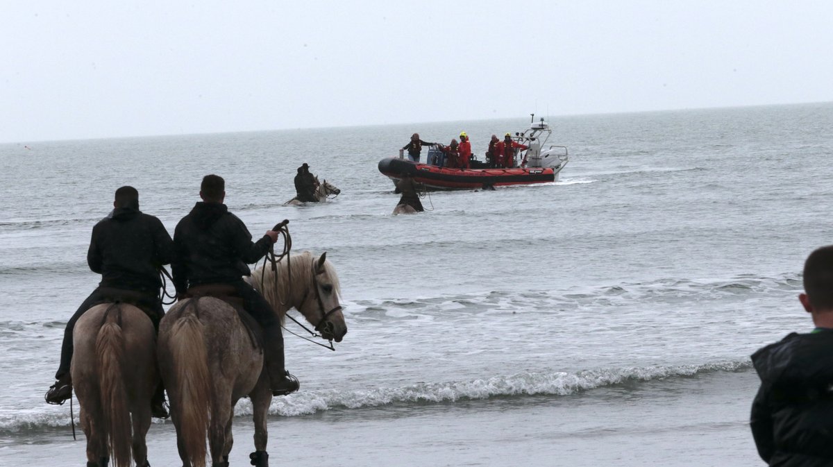 Abrivado des plages Grau-du-Roi en 2026 (Photo Anthony Maurin)