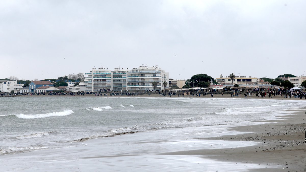 Abrivado des plages Grau-du-Roi en 2026 (Photo Anthony Maurin)