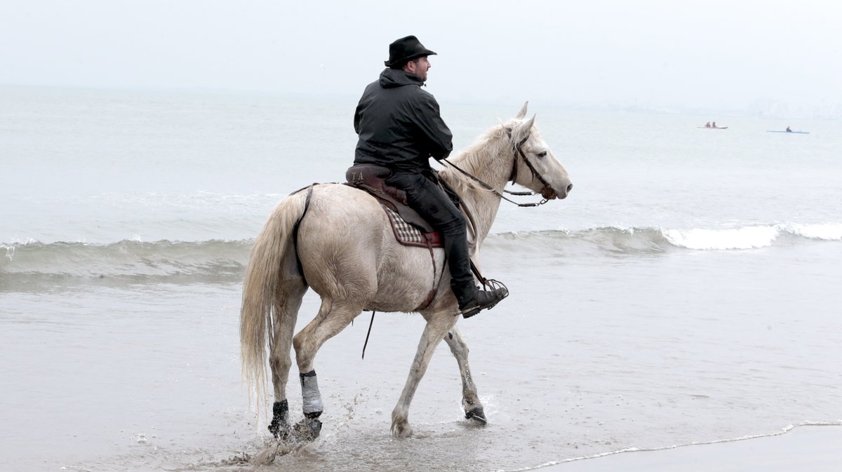 Abrivado des plages Grau-du-Roi en 2026 (Photo Anthony Maurin)