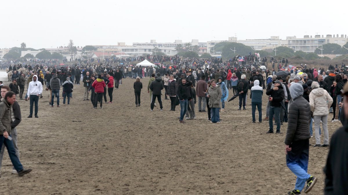 Abrivado des plages Grau-du-Roi en 2026 (Photo Anthony Maurin)