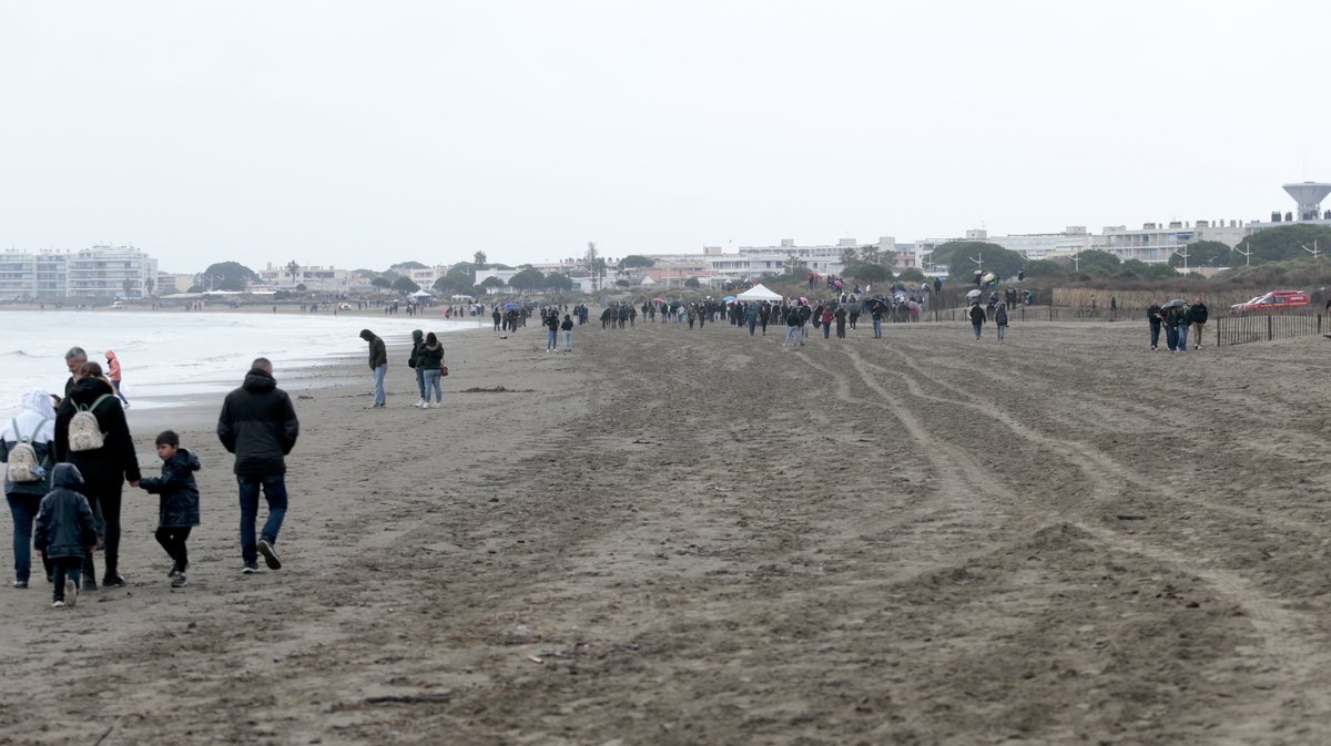 Abrivado des plages Grau-du-Roi en 2026 (Photo Anthony Maurin)