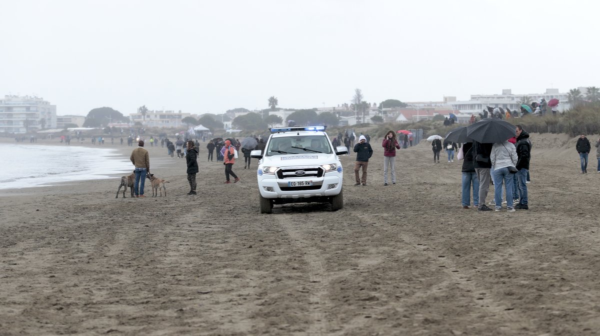 Abrivado des plages Grau-du-Roi en 2026 (Photo Anthony Maurin)