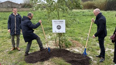 Projet Codognan logement maison médicale