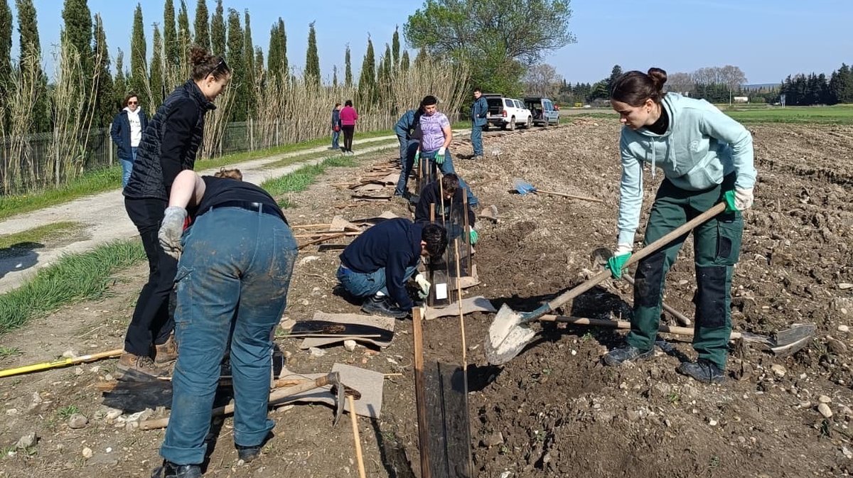 plantation haies buffalon rodilhan chasseurs