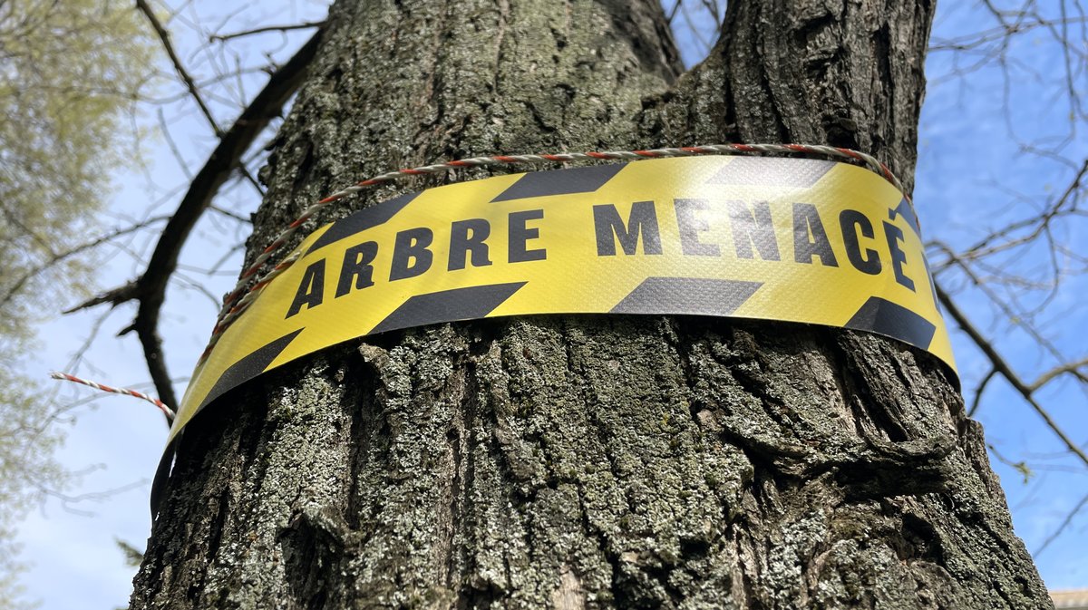 Square Wladimir-Guiu Nîmes (Photo Anthony Maurin)