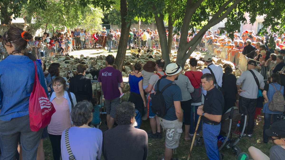 Square Wladimir-Guiu Nîmes (Photo Anthony Maurin)