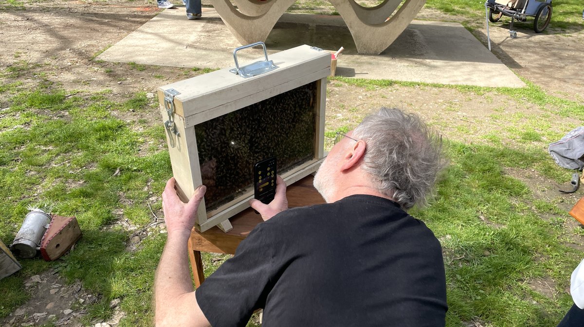 Square Wladimir-Guiu Nîmes (Photo Anthony Maurin)