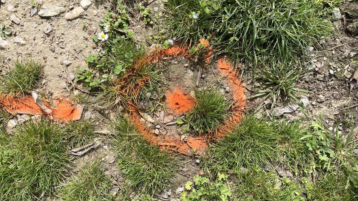 Square Wladimir-Guiu Nîmes (Photo Anthony Maurin)