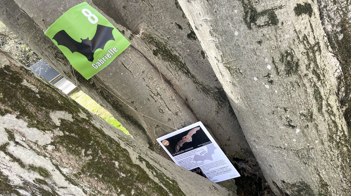 Square Wladimir-Guiu Nîmes (Photo Anthony Maurin)