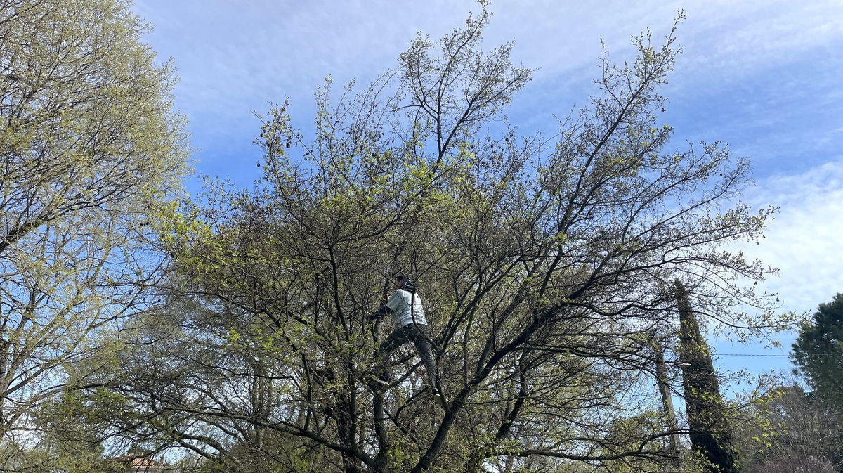 Square Wladimir-Guiu Nîmes (Photo Anthony Maurin)