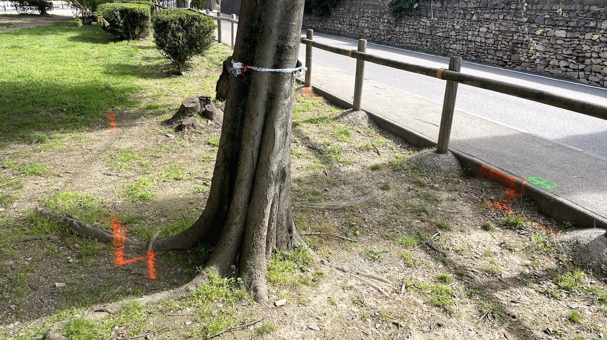 Square Wladimir-Guiu Nîmes (Photo Anthony Maurin)