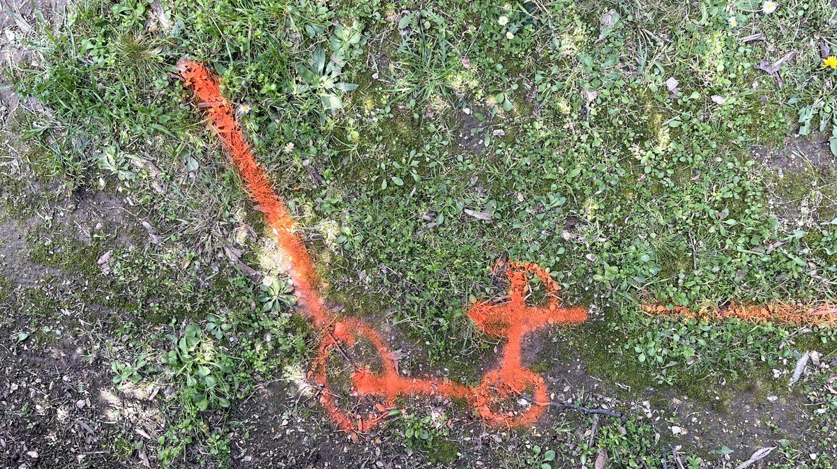 Square Wladimir-Guiu Nîmes (Photo Anthony Maurin)