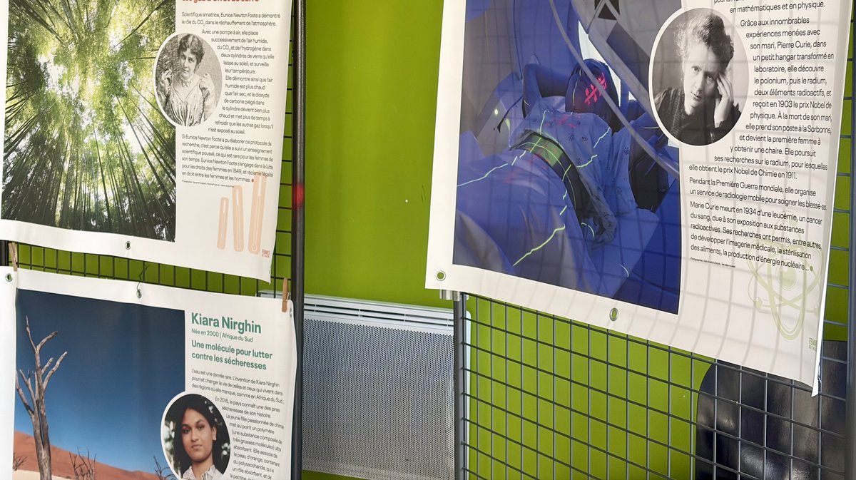 Collège Le Bosquet égalité homme-femme