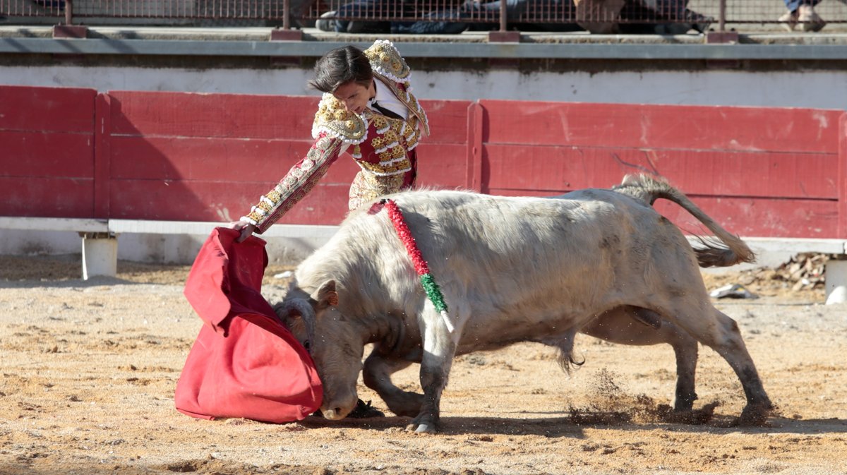 Trophée Sébastien Castella becerros La Paluna et Roland Durand pour Blas Marquez, Daniel Garcia et Esteban Navarro (Photo Anthony Maurin)IMG_2142