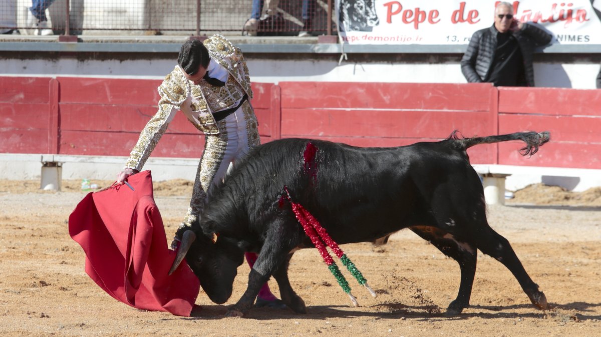 Trophée Sébastien Castella becerros La Paluna et Roland Durand pour Blas Marquez, Daniel Garcia et Esteban Navarro (Photo Anthony Maurin)IMG_2142