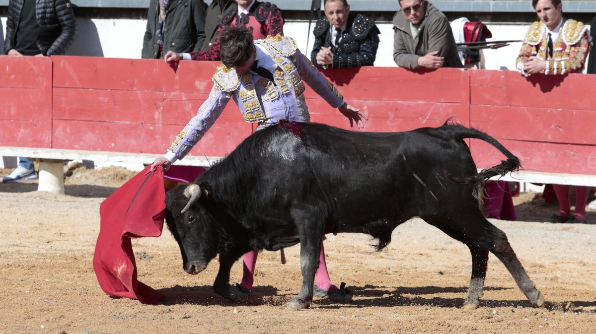 Trophée Sébastien Castella becerros La Paluna et Roland Durand pour Blas Marquez, Daniel Garcia et Esteban Navarro (Photo Anthony Maurin)IMG_2142