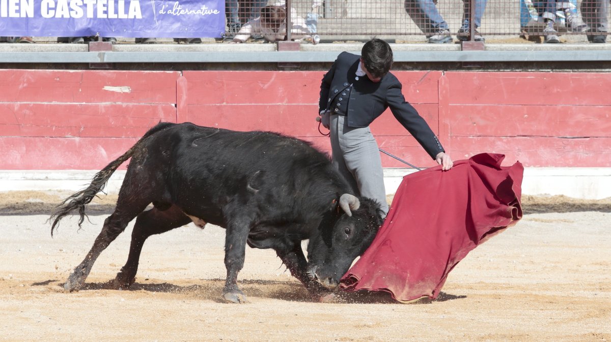 Bolsin Pepe de Montijo Primavera de la tauromachie (Photo Anthony Maurin)_K9Q6700