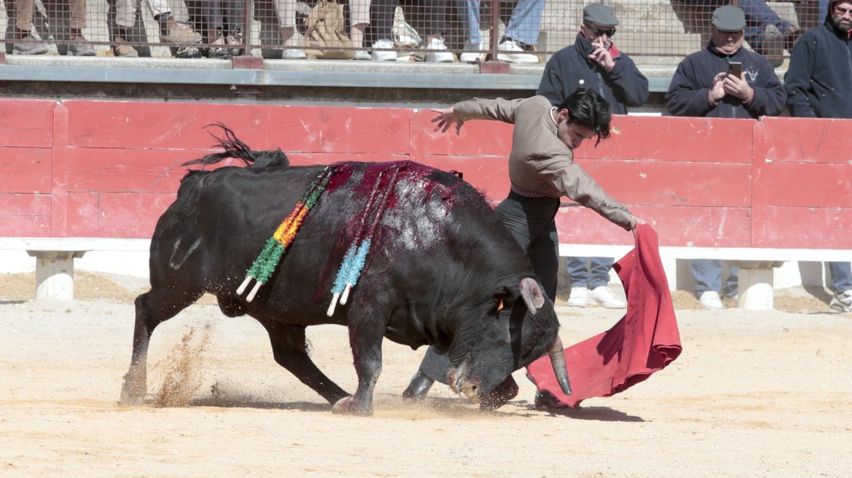 Bolsin Pepe de Montijo Primavera de la tauromachie (Photo Anthony Maurin)_K9Q6700