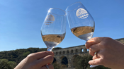 Vins IGP - Pont du gard