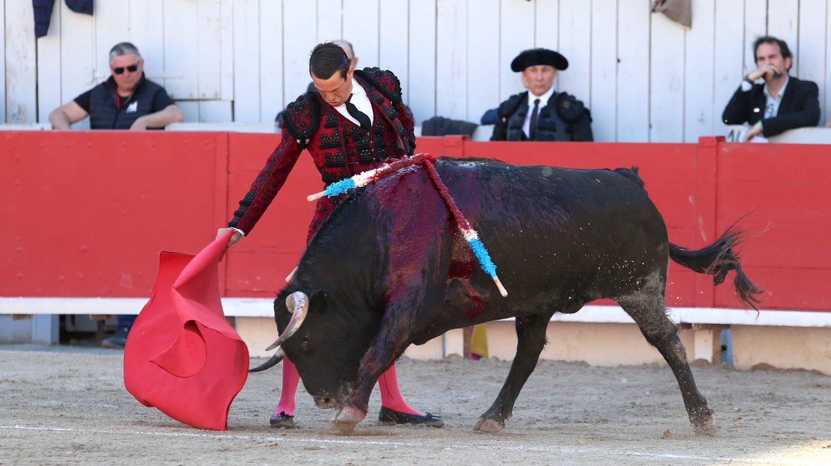 Corrida de Garcigrande pour Jose Maria Manzanares, Alejandro Talavante et Marco Perez (Photo Anthony Maurin)