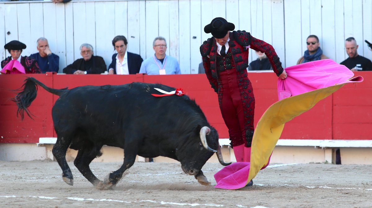 Corrida de Garcigrande pour Jose Maria Manzanares, Alejandro Talavante et Marco Perez (Photo Anthony Maurin)