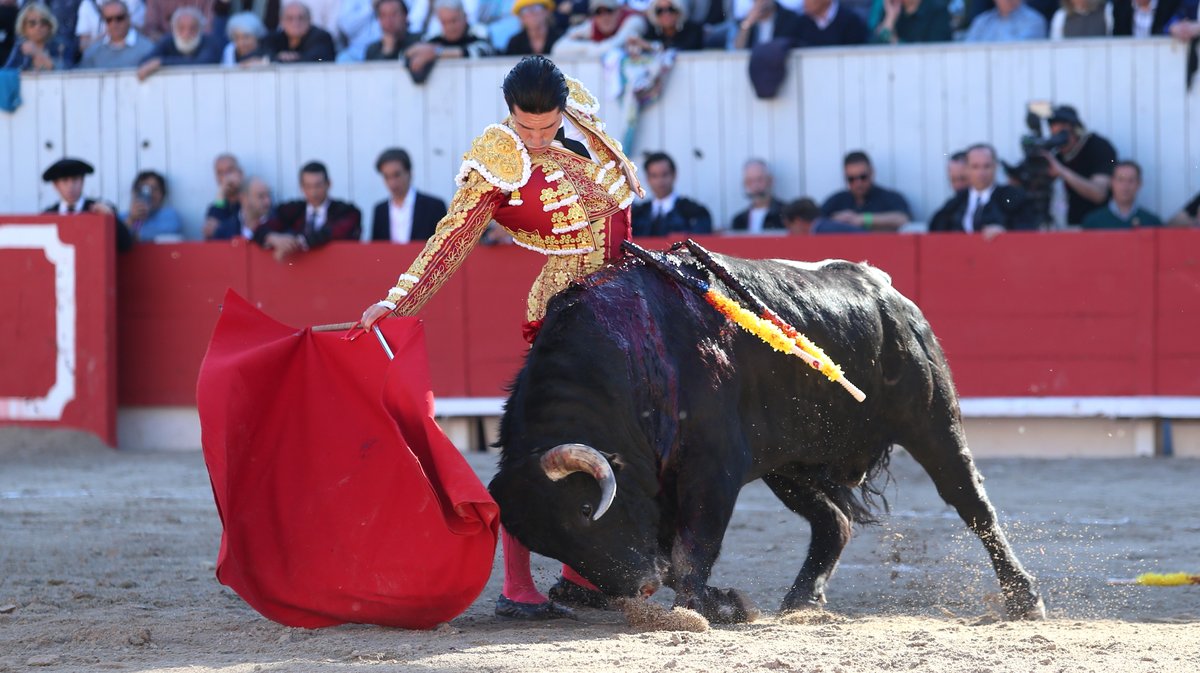 Corrida de Garcigrande pour Jose Maria Manzanares, Alejandro Talavante et Marco Perez (Photo Anthony Maurin)