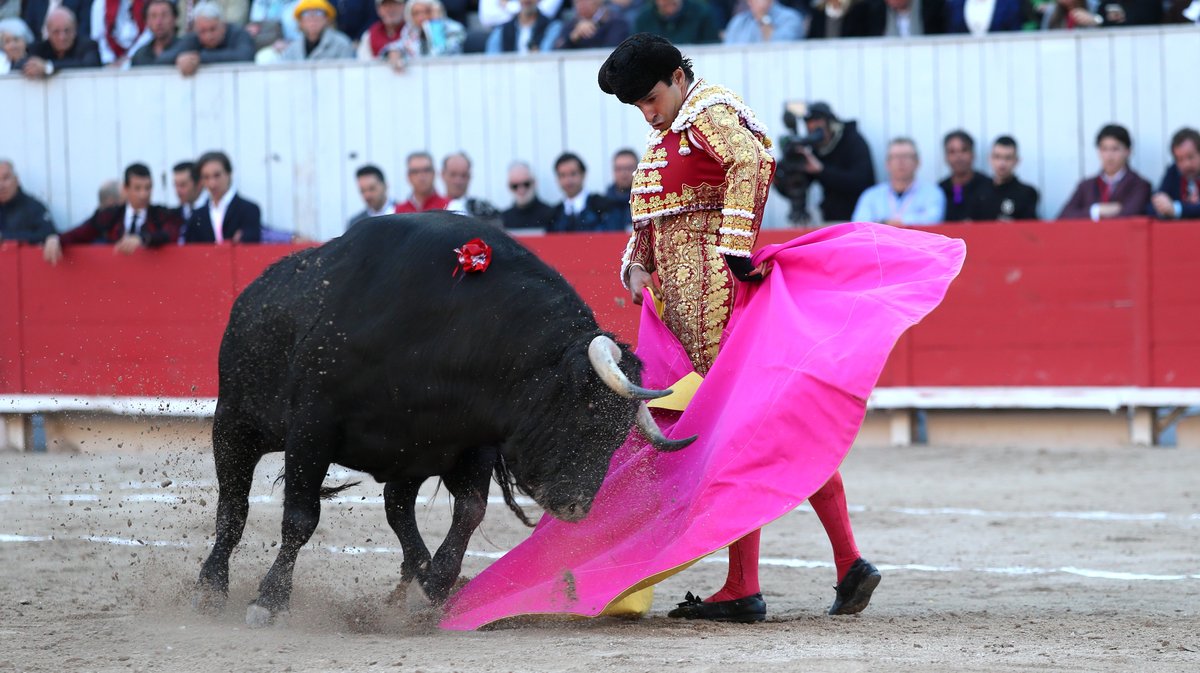 Corrida de Garcigrande pour Jose Maria Manzanares, Alejandro Talavante et Marco Perez (Photo Anthony Maurin)