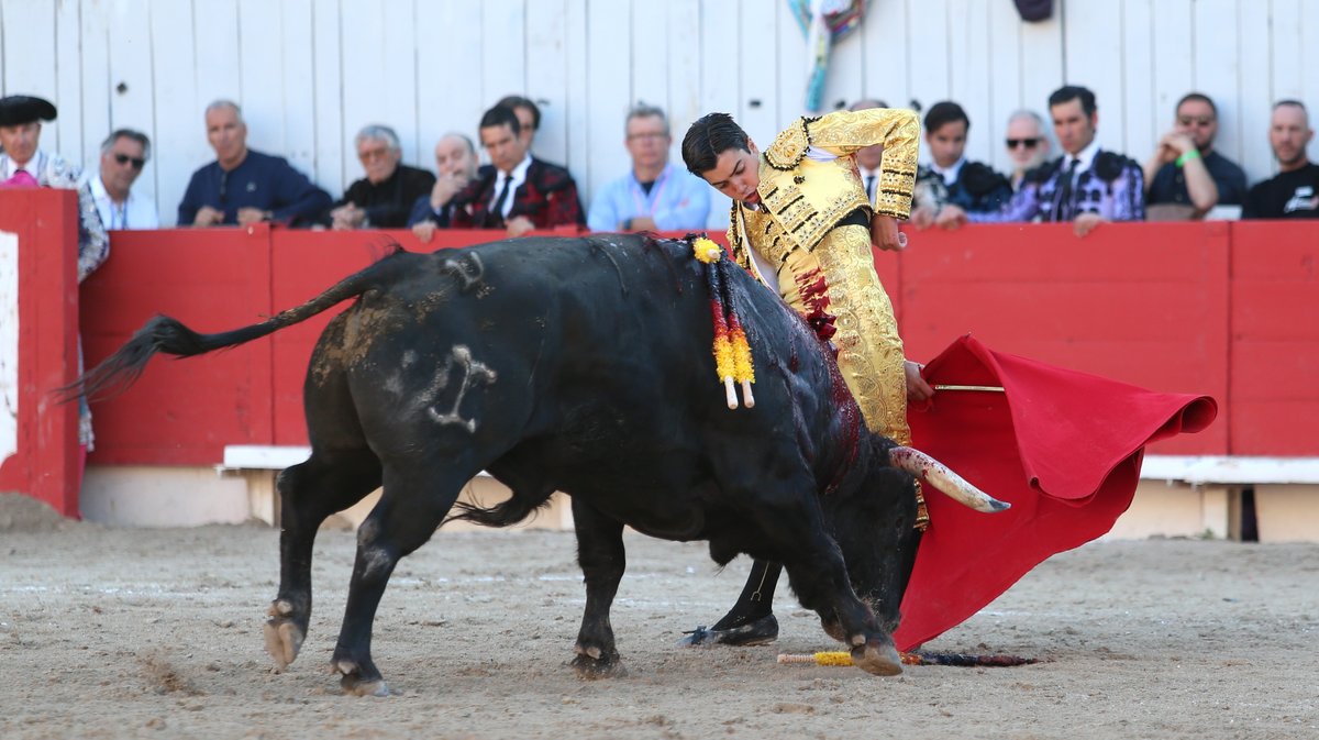 Corrida de Garcigrande pour Jose Maria Manzanares, Alejandro Talavante et Marco Perez (Photo Anthony Maurin)